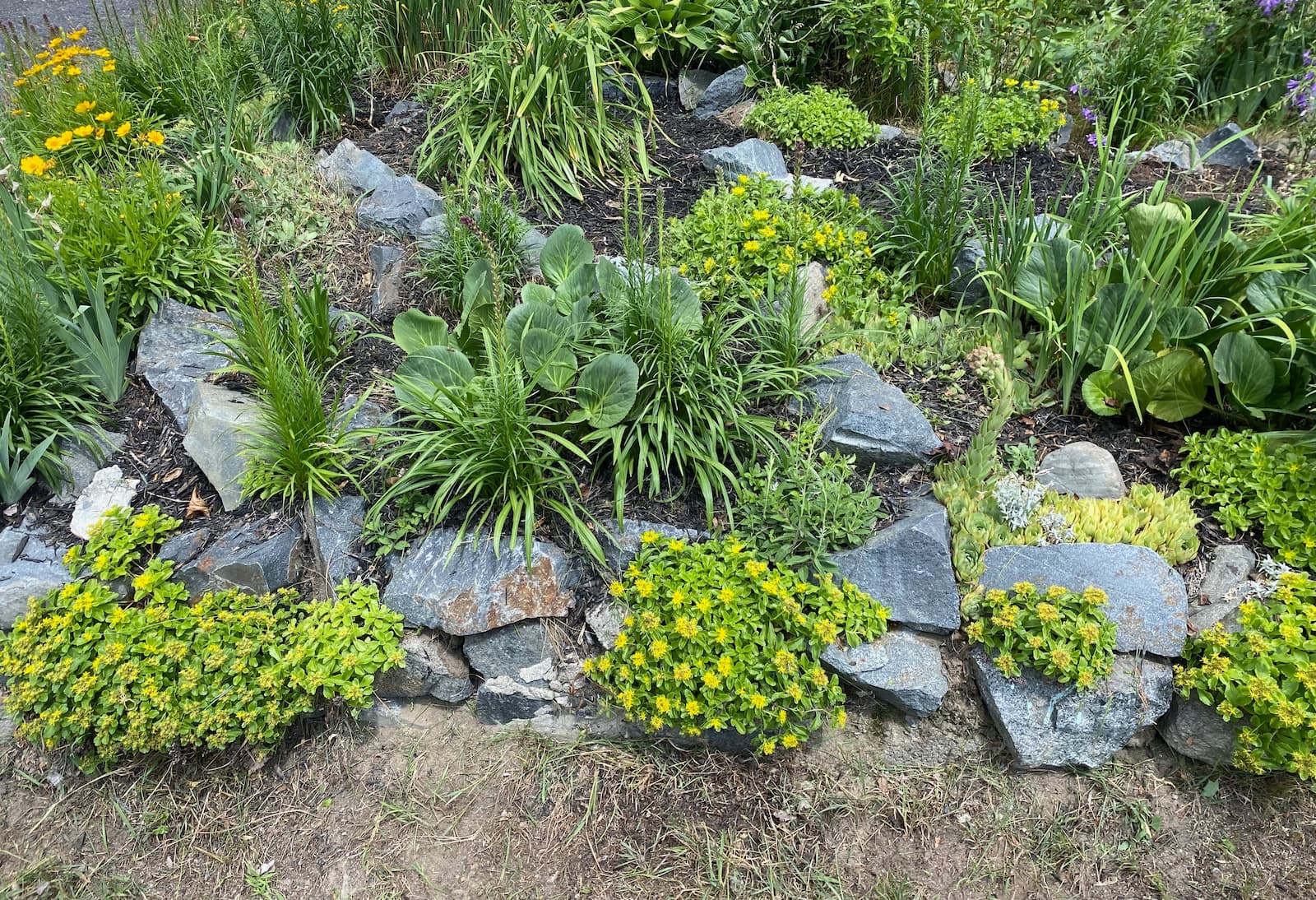 A garden.
