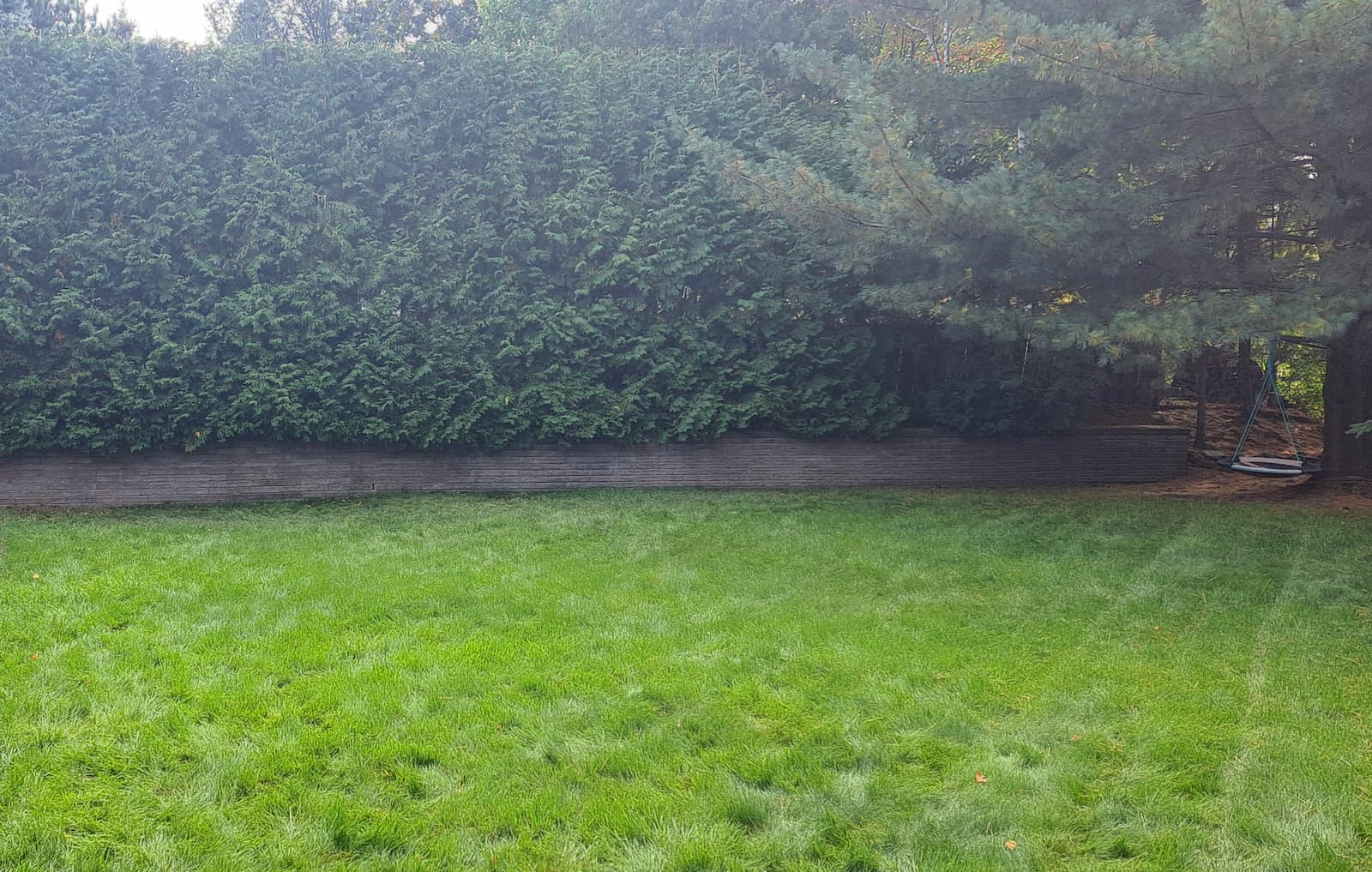 A well trimmed lawn.